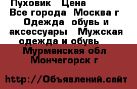 Пуховик › Цена ­ 2 000 - Все города, Москва г. Одежда, обувь и аксессуары » Мужская одежда и обувь   . Мурманская обл.,Мончегорск г.